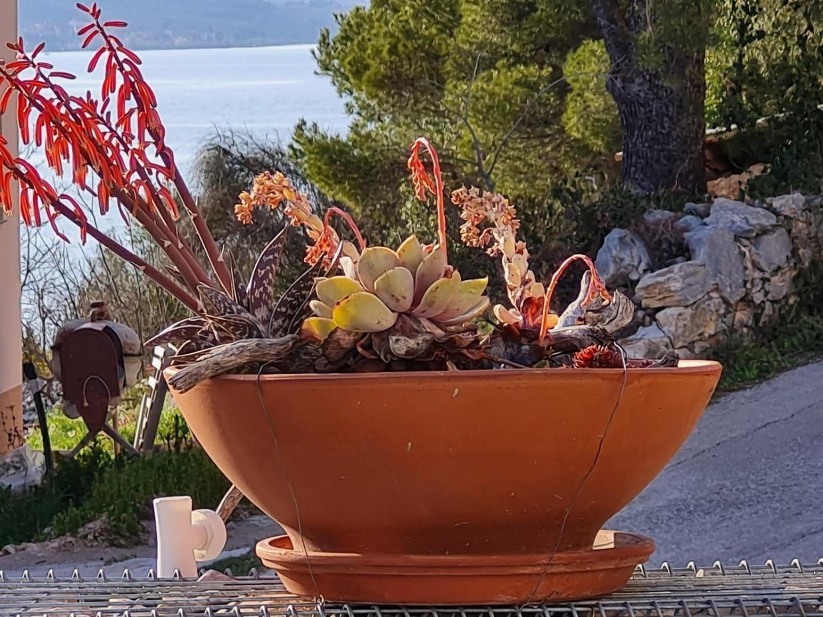 Kuca Mali Raj - Little Paradise Šibenik Extérieur photo